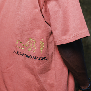 ESSENTIALS T-SHIRT TERRACOTTA