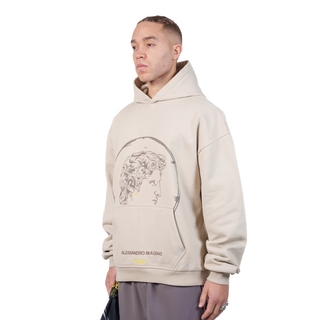 FASHION HOODIE FEATHER GREY